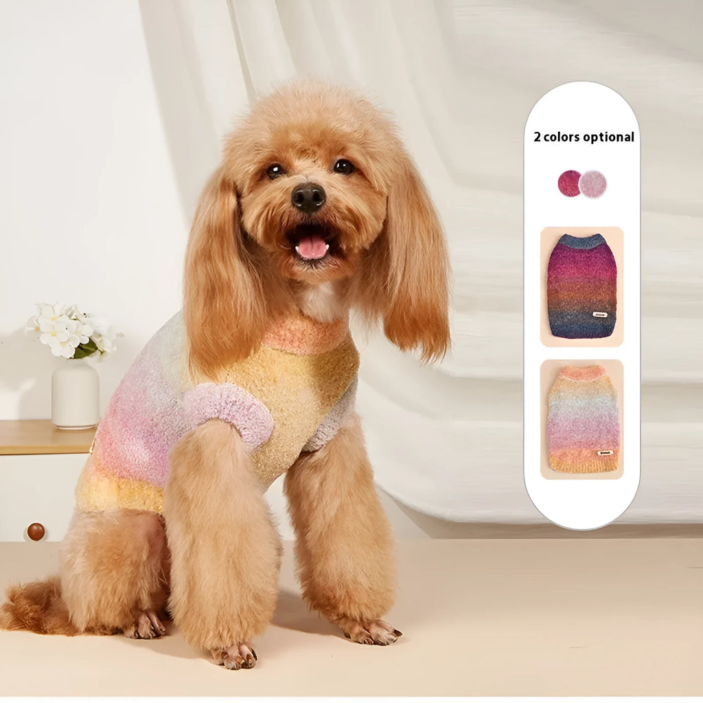 Dopamine pet sweater with rainbow circles on a dog, available in styles 1 and 2, sizes S to XXL