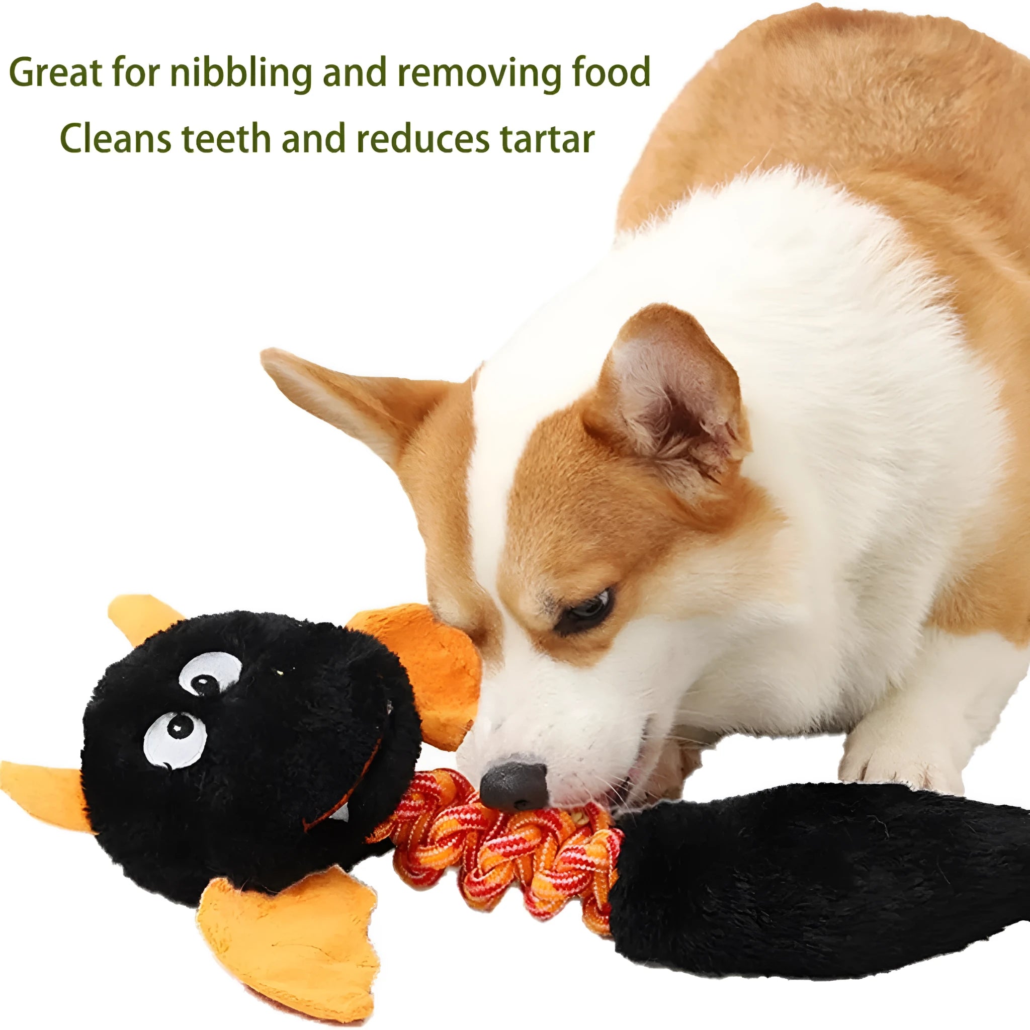 Large black plush dog toy with cartoon design, featuring a squeaker, rattle, and an elastic rope knot for chewing.