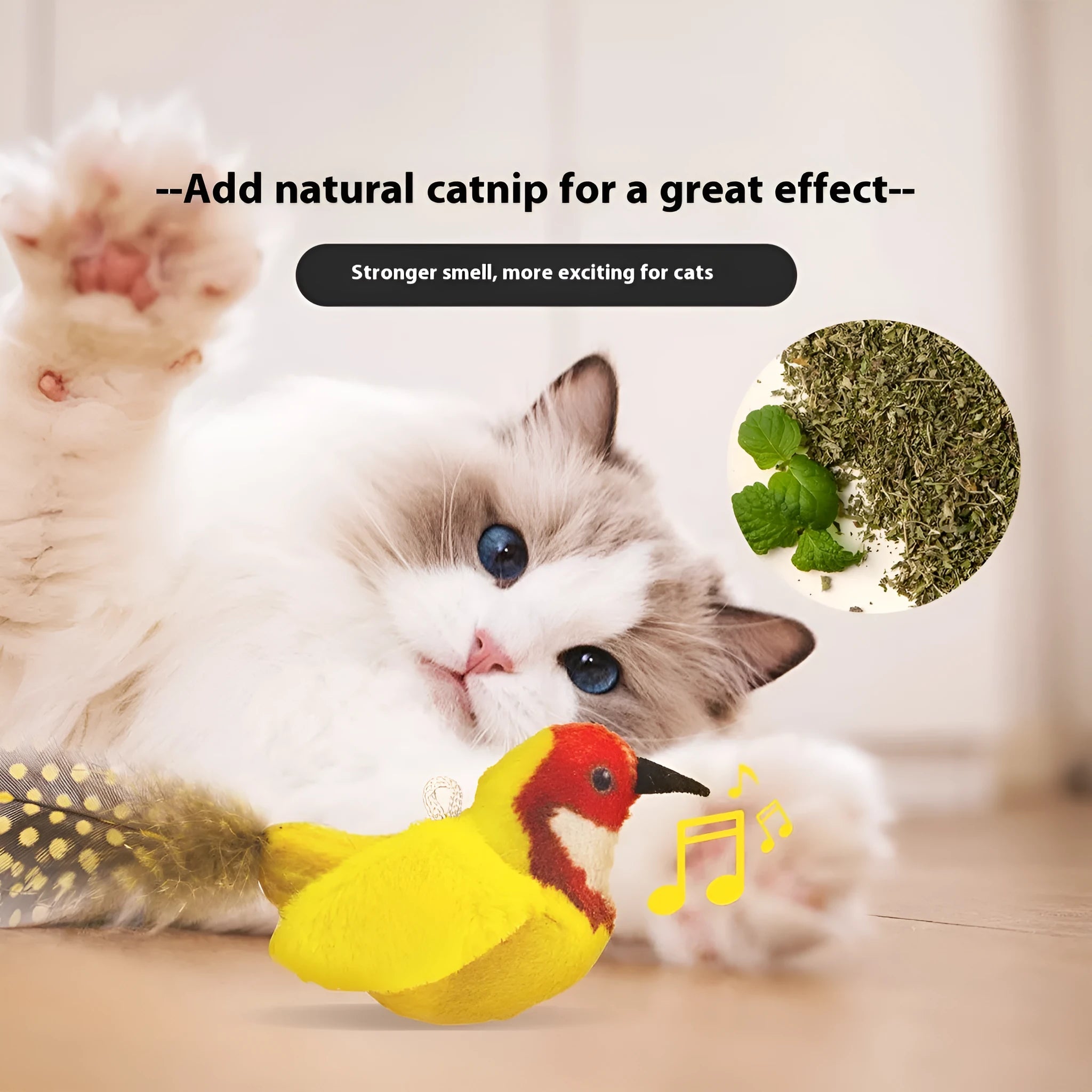 Bird simulation cat toy showing colourful plush bird designs including blue kingfisher and sparrow variants
