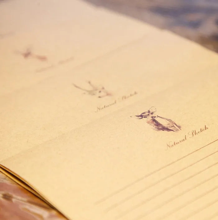 Fawn Kraft Stationery set of 10 kraft paper sheets in 26x18.7cm with four colour options