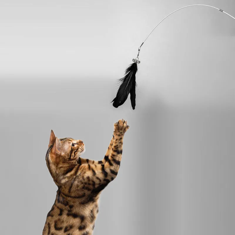 Telescopic cat fishing rod toy with feather teaser and bell, extended to 80cm