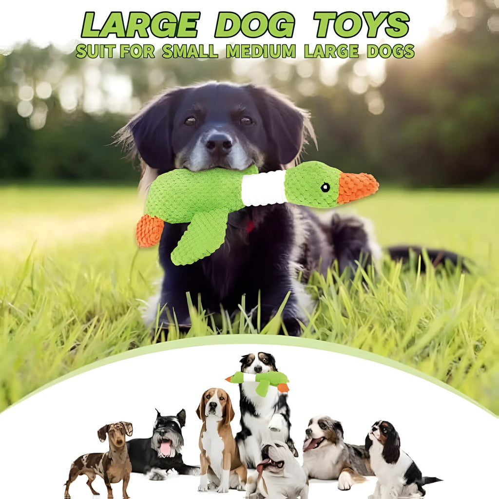 Blue, green, or grey duck-shaped plush dog toy with two squeakers.
