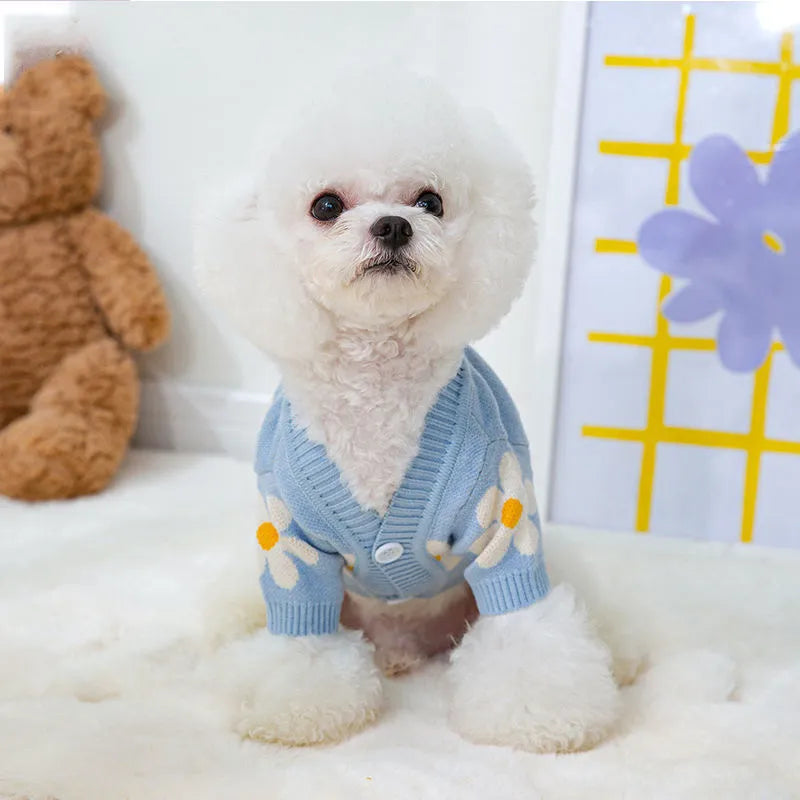 Small dog wearing blue polyester autumn clothing with weight-based sizing from XS to XL