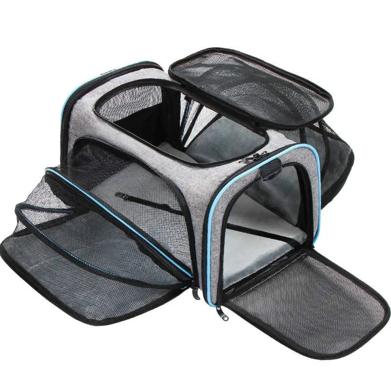 Black 600D cation fabric cat carrier bag with red piping shown in large size