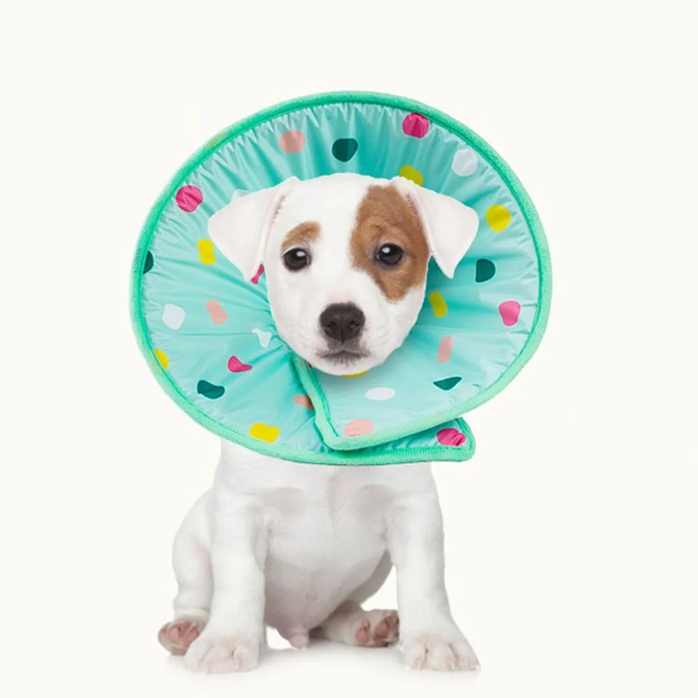 Light blue polyester anti lick scratch protection ring for dogs and cats, sizes S M L XL
