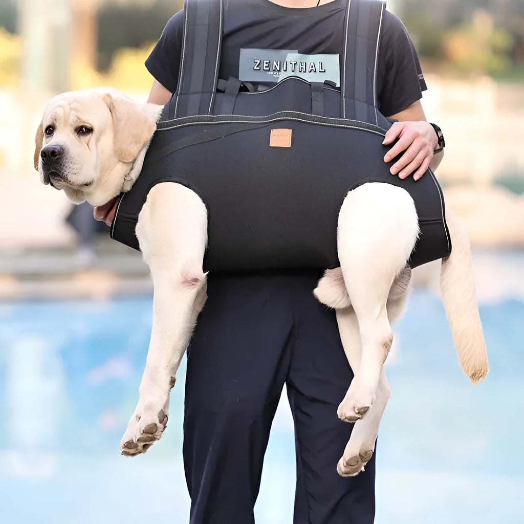 Black soft Oxford cloth dog backpack for medium to large pets in three size options