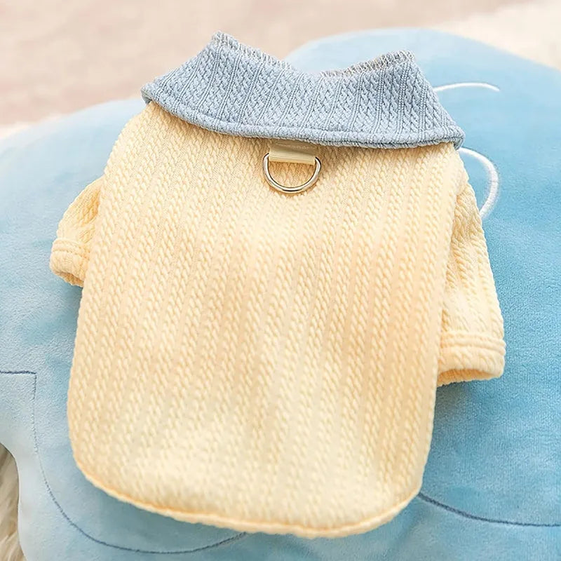 Yellow colour-block knit dog coat with bow tie collar on a small dog, suitable for autumn winter wear