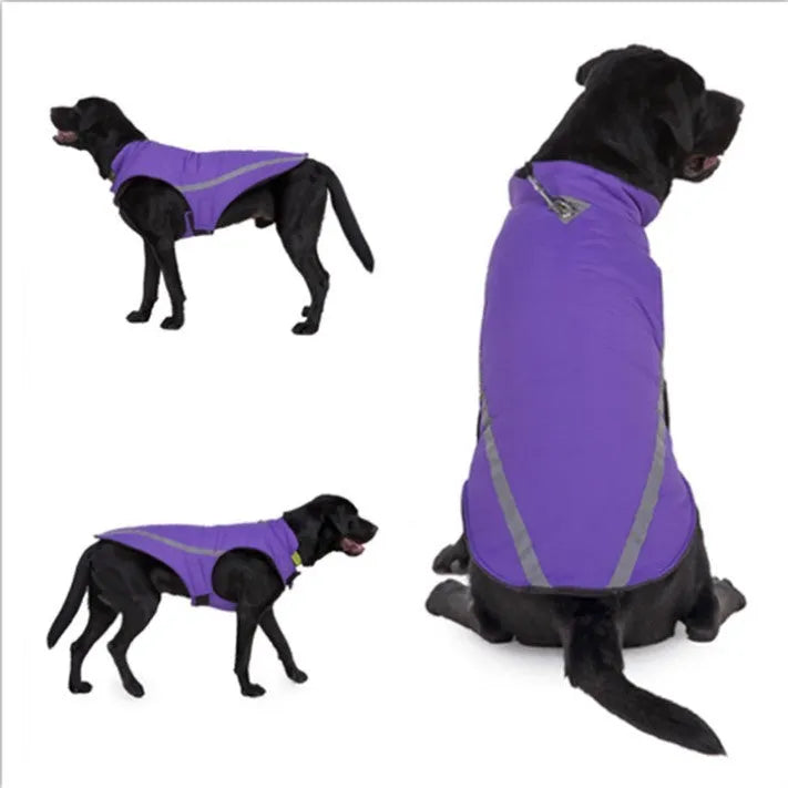 Cotton casual dog winter coat in black on a white background showing front view