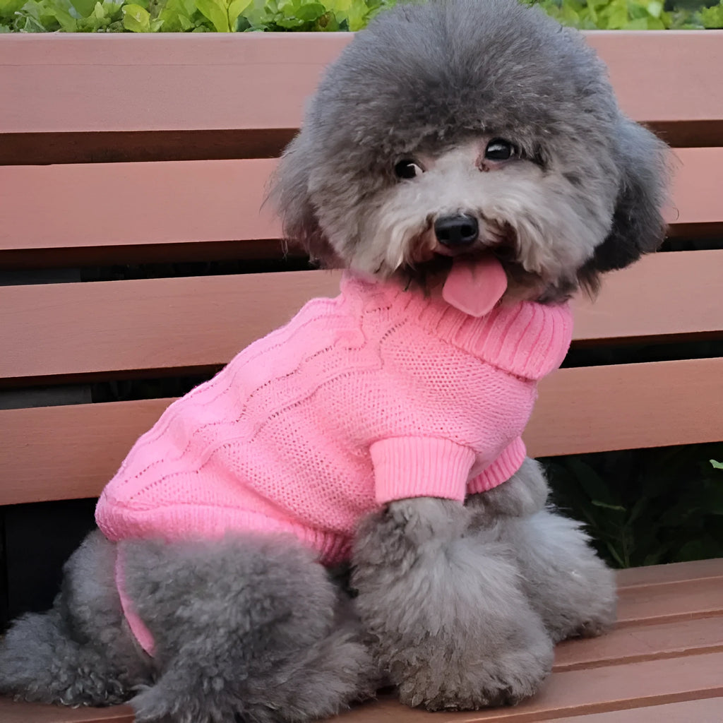 Knitted wool dog sweater with fabric buttons on a white background, shown in blue
