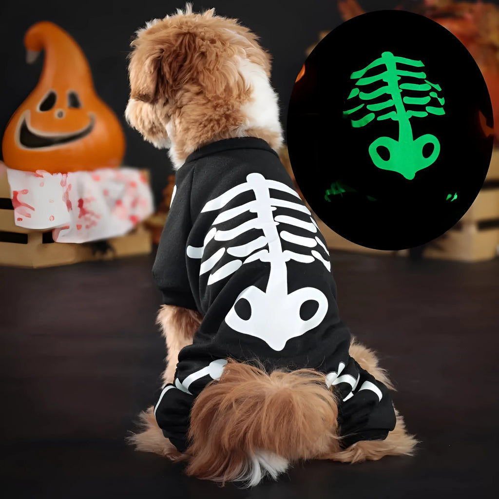 Halloween pet clothing with luminous skull bones design on four-legged dog costume