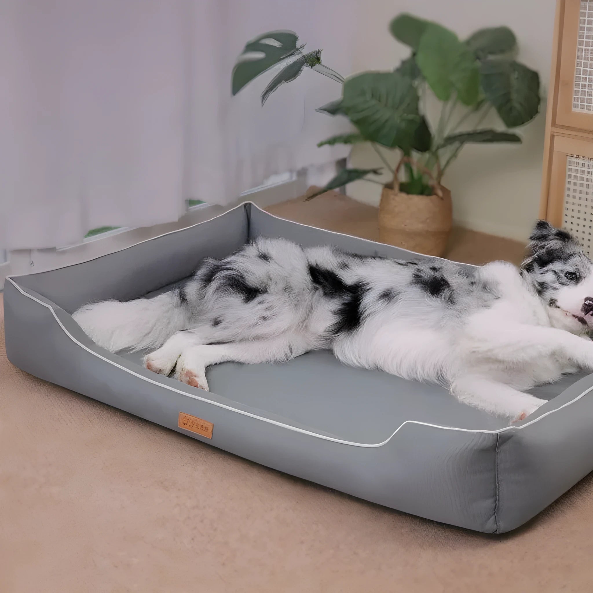 Four season Oxford fabric dog bed in gray with removable cover, available in multiple sizes for dogs