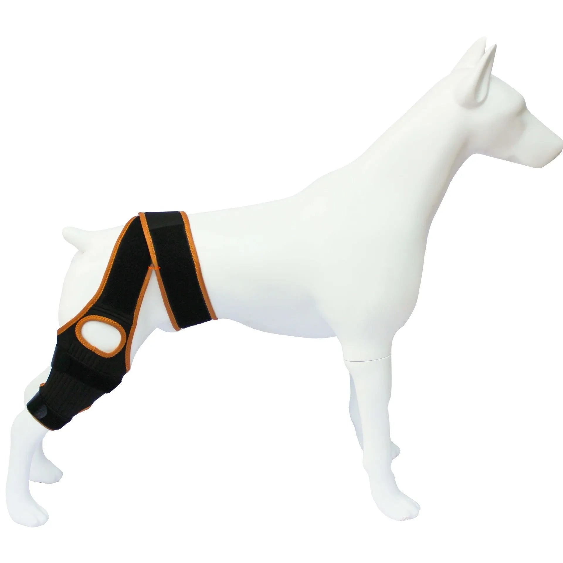 Neoprene dog hind leg knee brace assist strap shown in collar black colour, sized for medium dog.