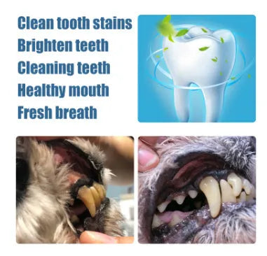 Pet teeth whitening pen and two dental brush applicators for dog and cat tartar care