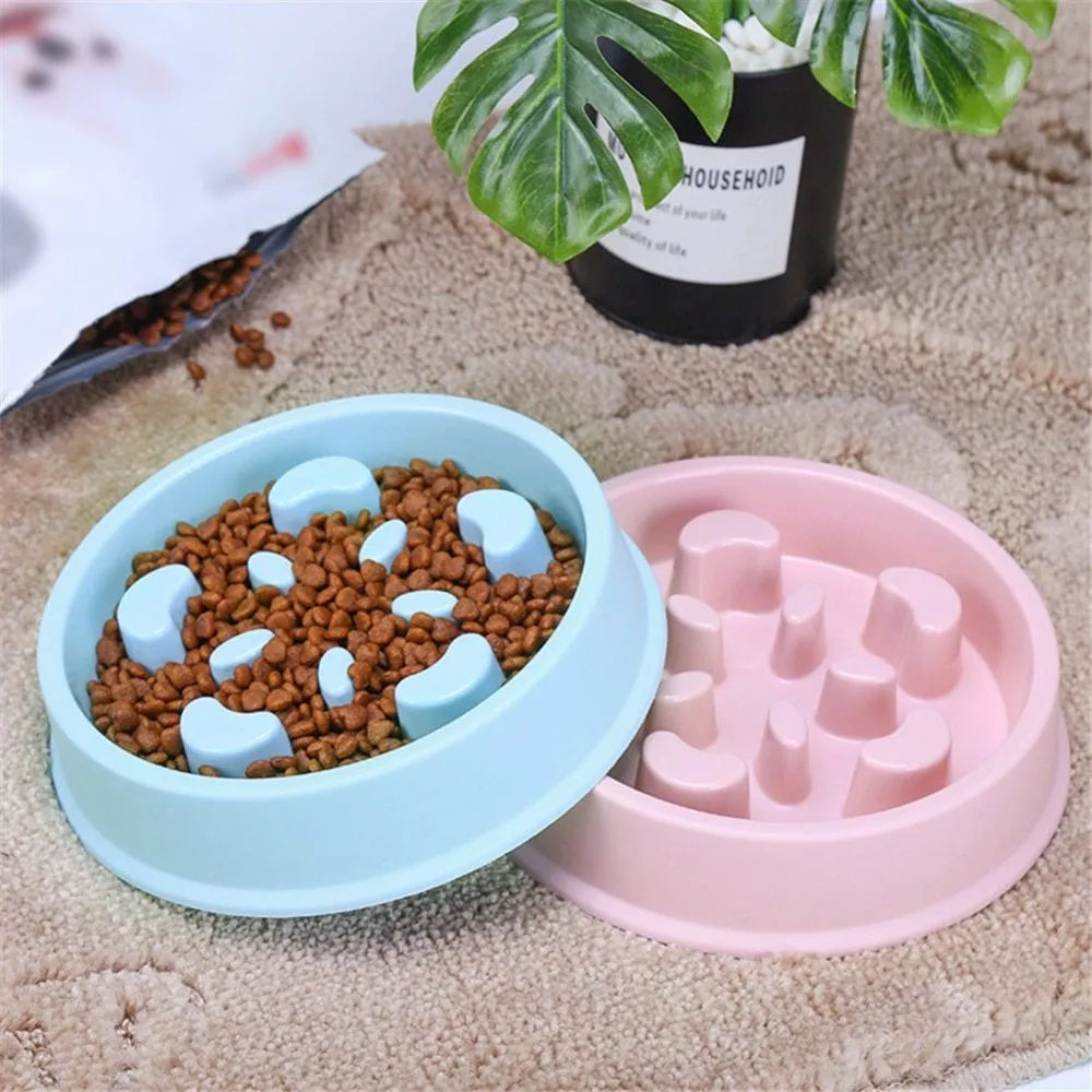 Plastic anti choking slow feeding puzzle pet bowl in blue, green, and pink colour options