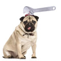 Cloth pet Halloween headgear with printed twill weave, eight colours, adjustable chin strap, S and M sizes