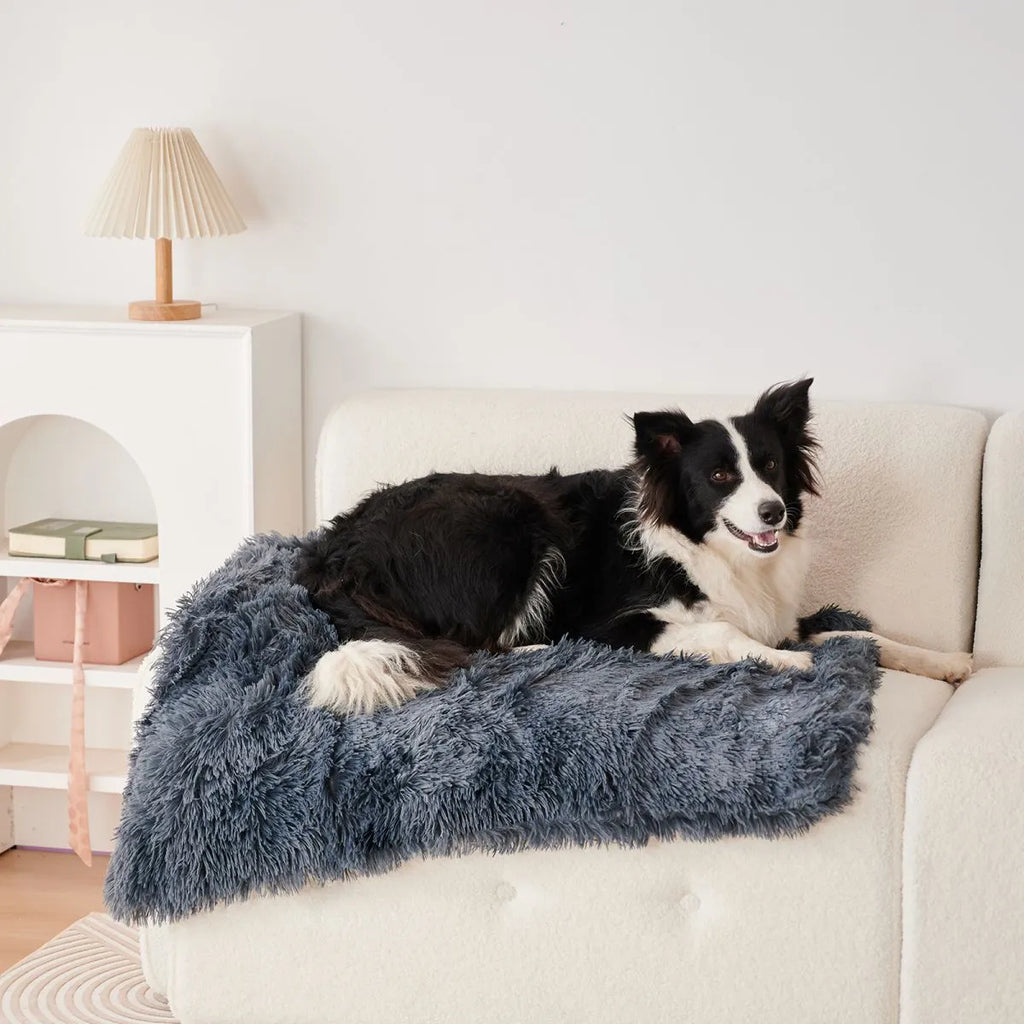 Grey velvet and plush pet blanket laid on a sofa, showing its soft texture and size.