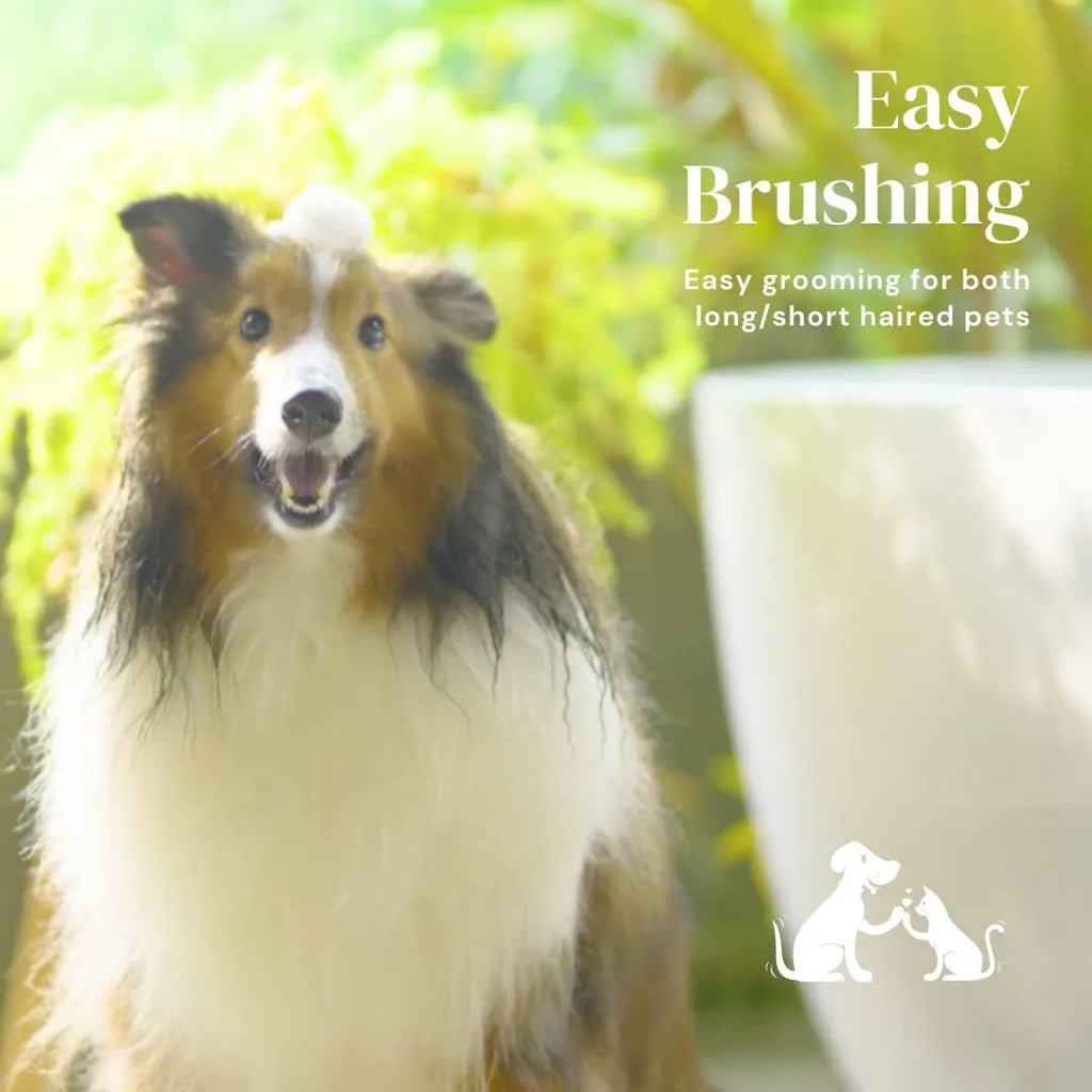 Self-cleaning pet grooming brush with ergonomic handle in blue, grey, or pink