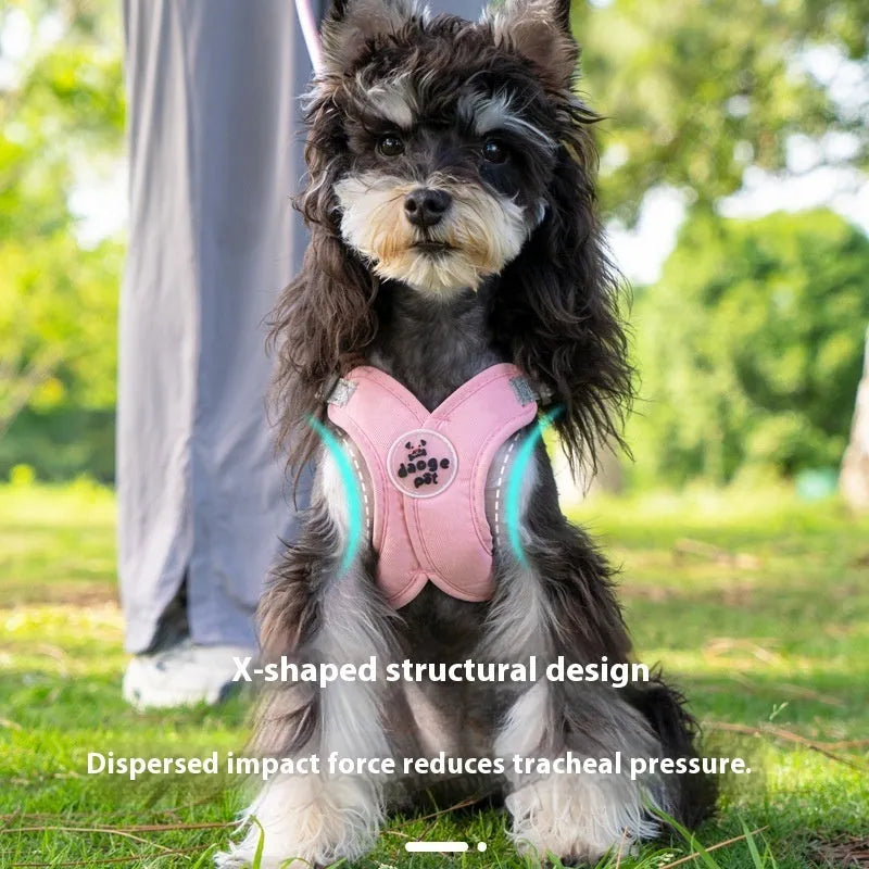 A blue dog vest with an integrated back handle and an attached matching leash rope.