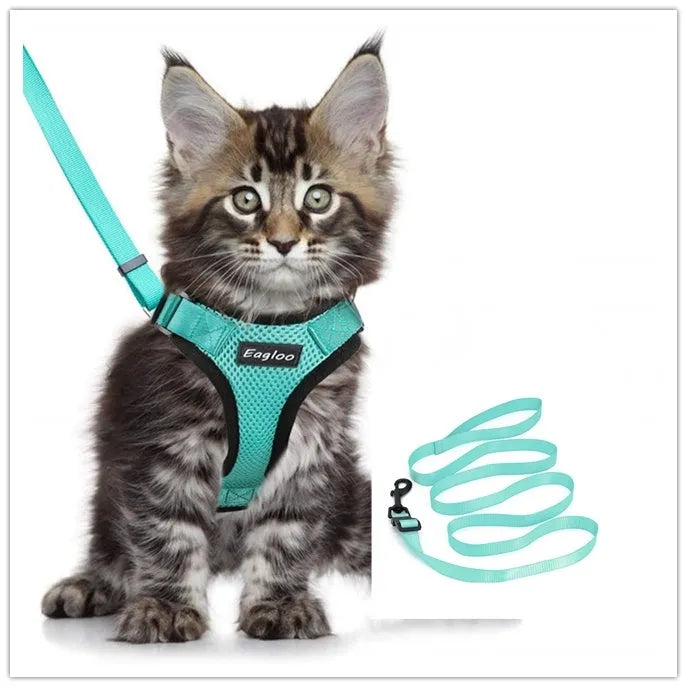 Escape proof cat vest harness in black with reflective trim and car seat belt adapter leash