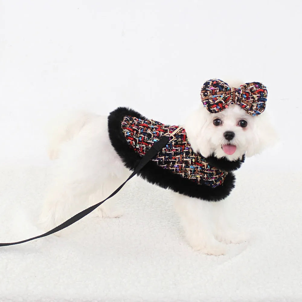 Classic cloth dog cloak attached to a chest harness with a hand-held traction rope lead.