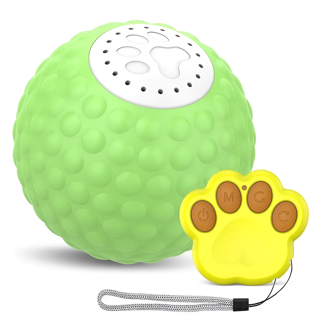 Blue remote control cat toy ball with flashing LEDs next to its handheld remote controller.