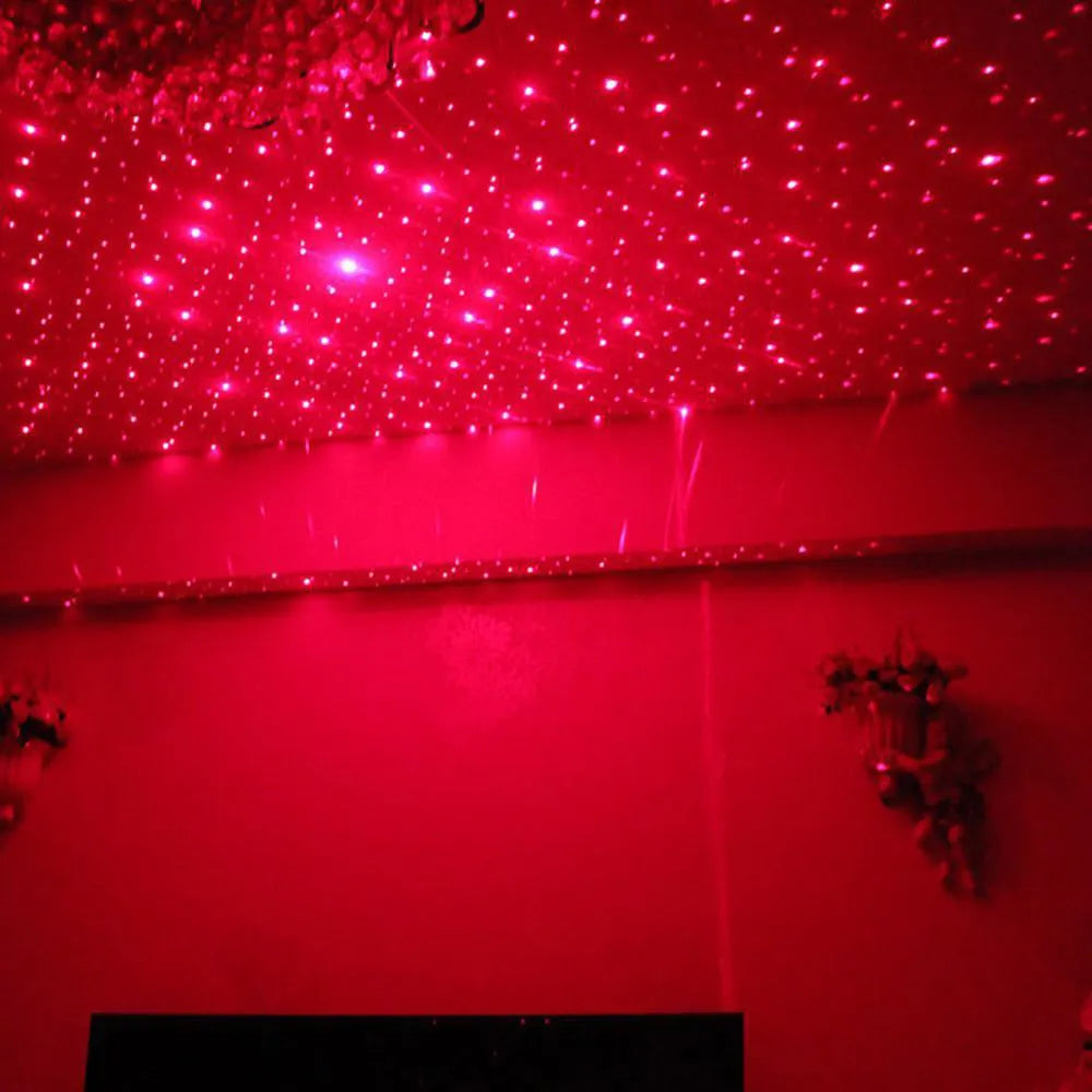 Car ceiling starlight system with voice control, USB LED in Green Purple Red options