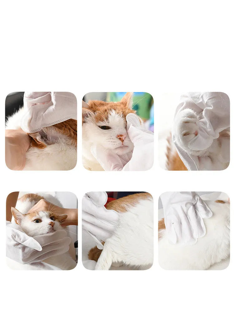 Pack of 4 natural pet deodorant wipes with sugarcane and olive leaf extract on green background