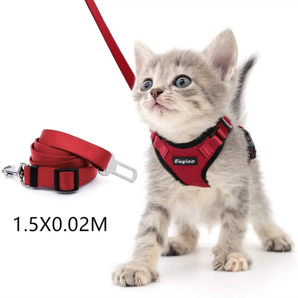 Escape proof cat vest harness in black with reflective trim and car seat belt adapter leash