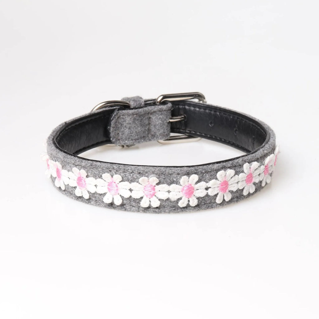 Embroidered PU dog collar with metal buckle on a neutral background, available in four colours and two adjustable sizes