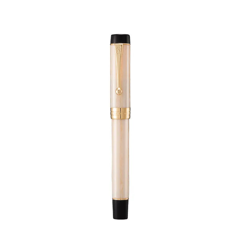 Tofu fountain pen set nine colours iridium nib business gift