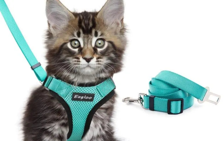 Escape proof cat vest harness in black with reflective trim and car seat belt adapter leash