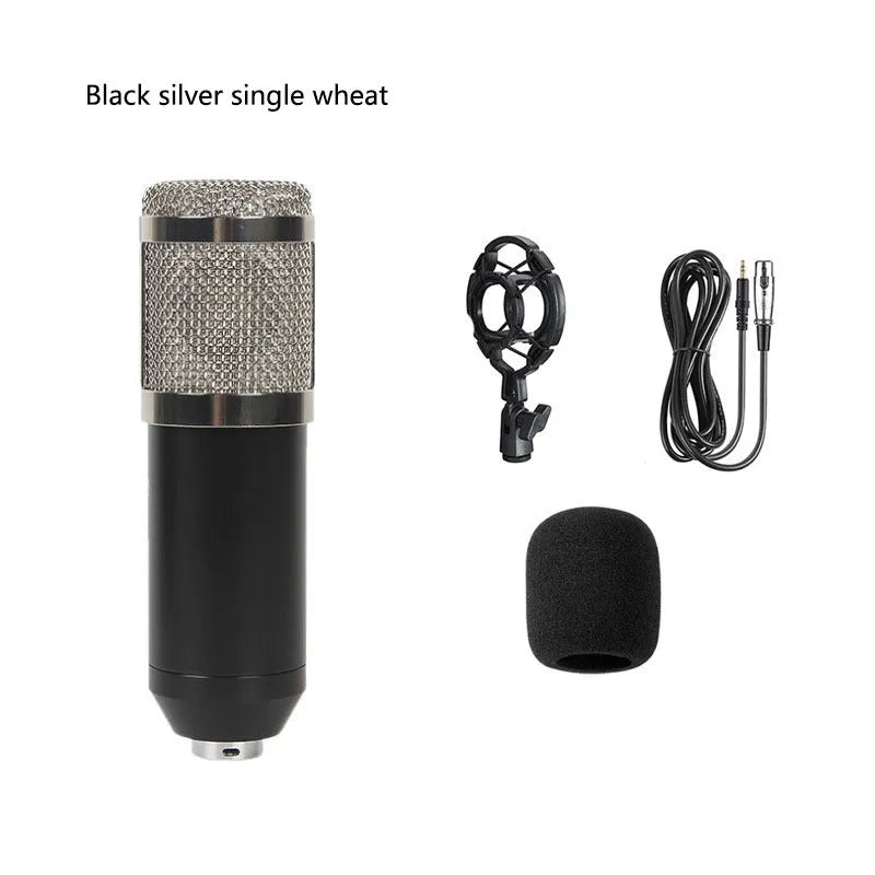 BM800 condenser microphone with black finish on a cantilever desk stand next to a V8 USB sound card and pop filter.