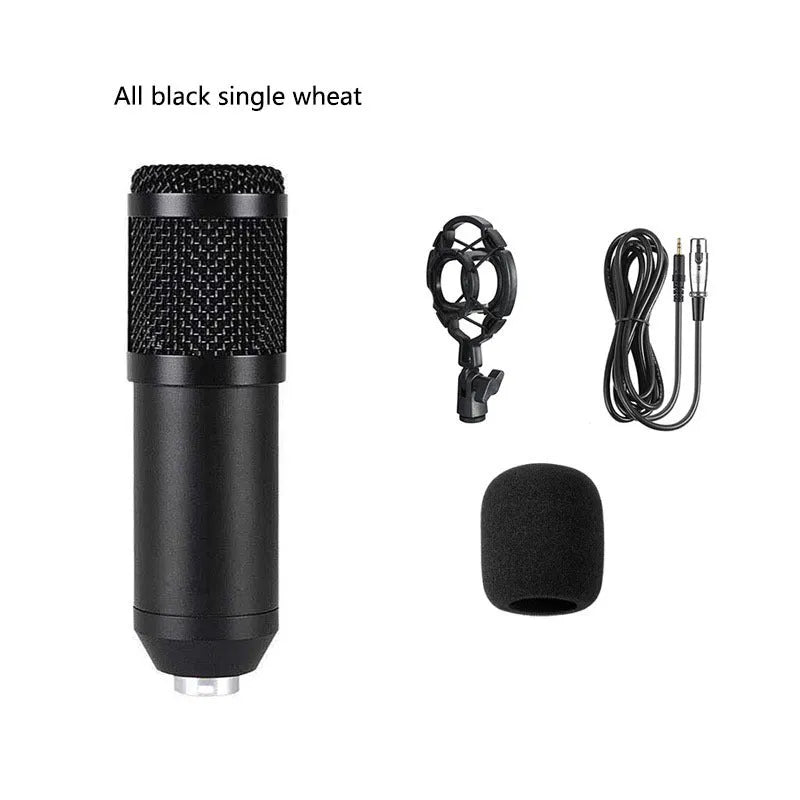 BM800 condenser microphone with black finish on a cantilever desk stand next to a V8 USB sound card and pop filter.
