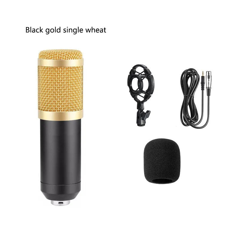 BM800 condenser microphone with black finish on a cantilever desk stand next to a V8 USB sound card and pop filter.