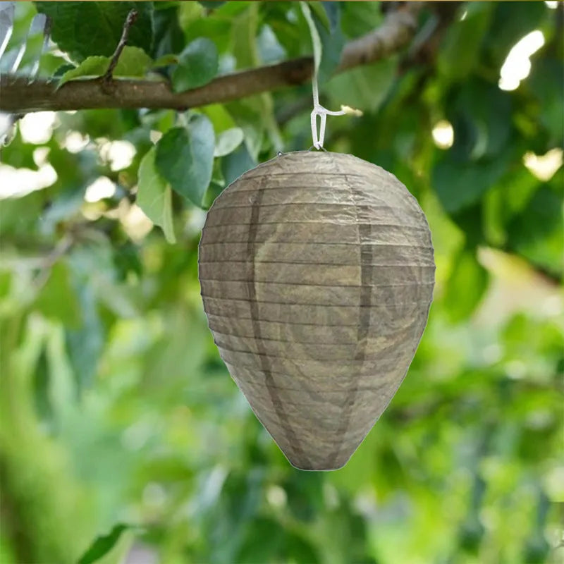 Paper beehive lantern with honeycomb structure, shown in assorted colours, measuring 22cm wide by 28cm high.