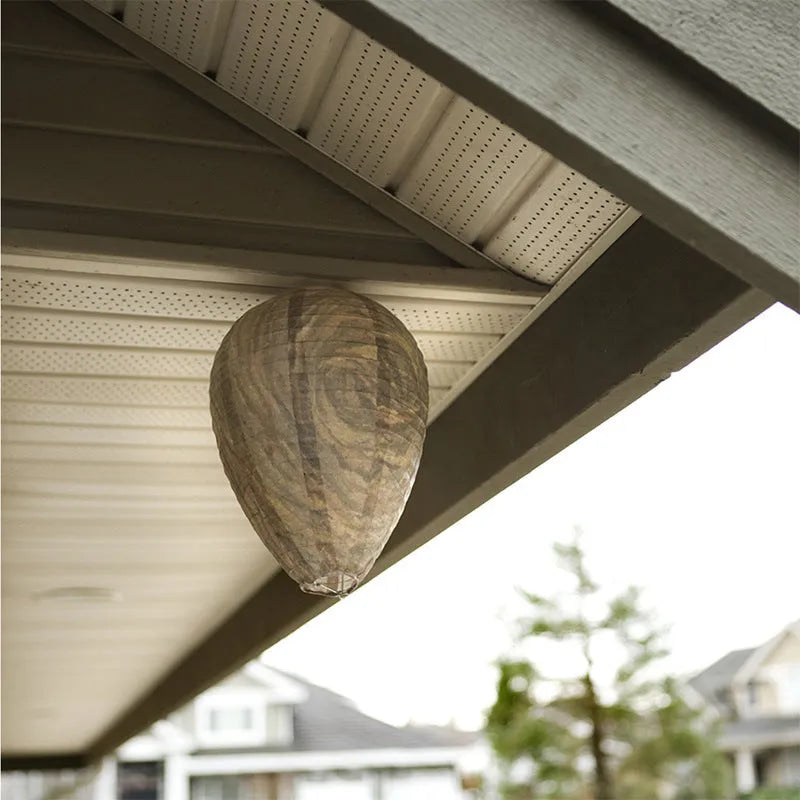 Paper beehive lantern with honeycomb structure, shown in assorted colours, measuring 22cm wide by 28cm high.
