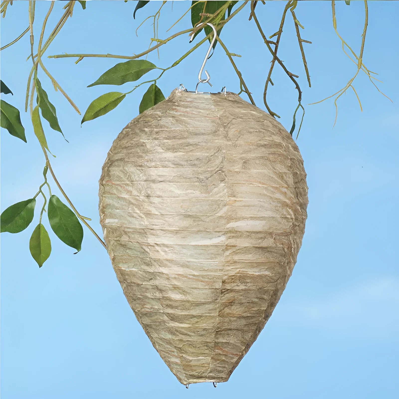Paper beehive lantern with honeycomb structure, shown in assorted colours, measuring 22cm wide by 28cm high.