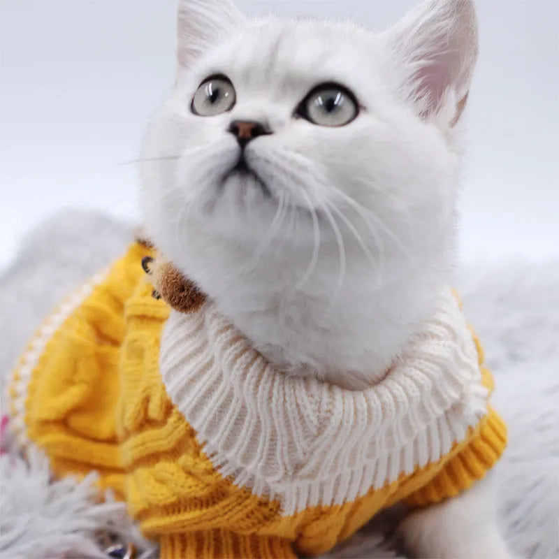 Classic knitted pet sweater for small dogs in twist-button blue colour