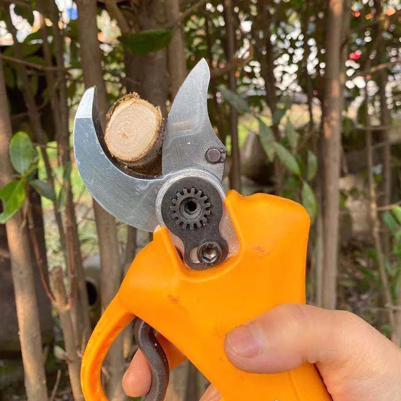 Double Silver electric branch shears for fruit tree pruning with lithium battery