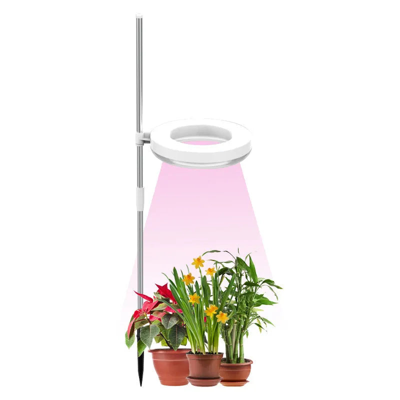 A compact black desk lamp with a full spectrum LED bulb for indoor plant growth.