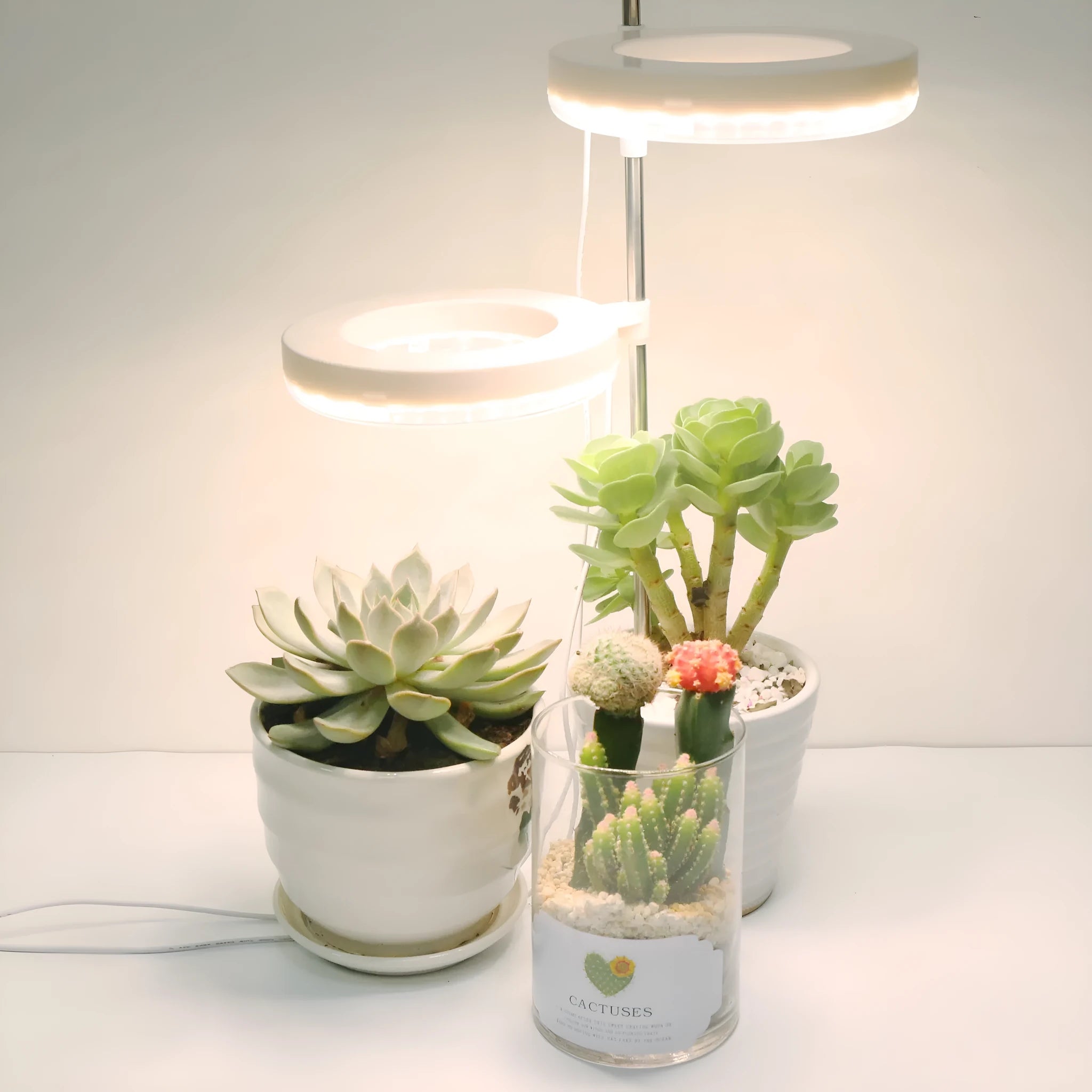 A compact black desk lamp with a full spectrum LED bulb for indoor plant growth.