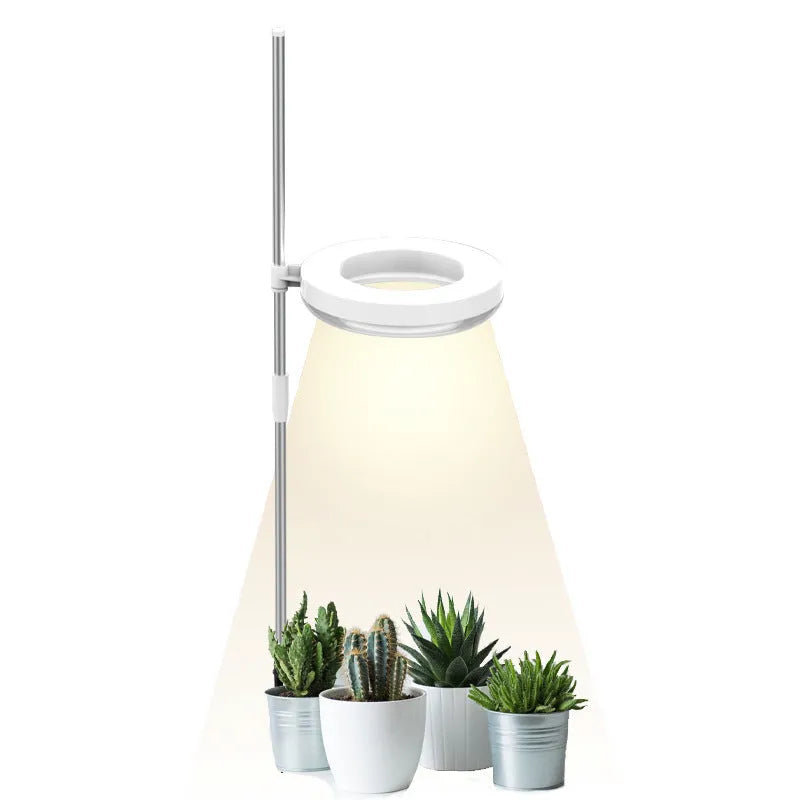 A compact black desk lamp with a full spectrum LED bulb for indoor plant growth.