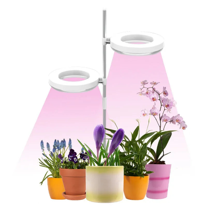 A compact black desk lamp with a full spectrum LED bulb for indoor plant growth.