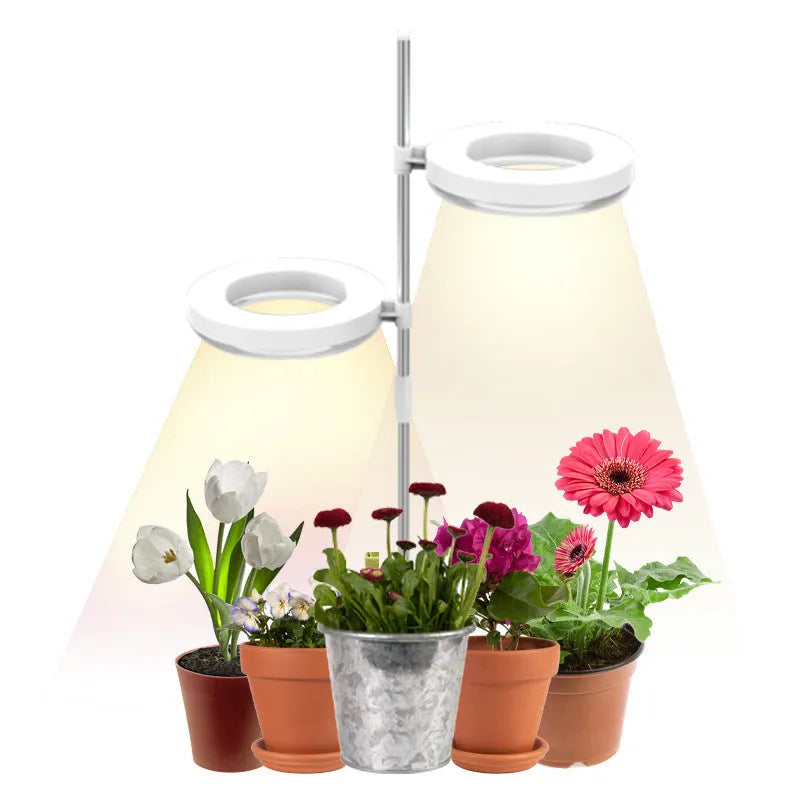 A compact black desk lamp with a full spectrum LED bulb for indoor plant growth.