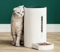 White smart pet feeder with 4.6L capacity and timing functions
