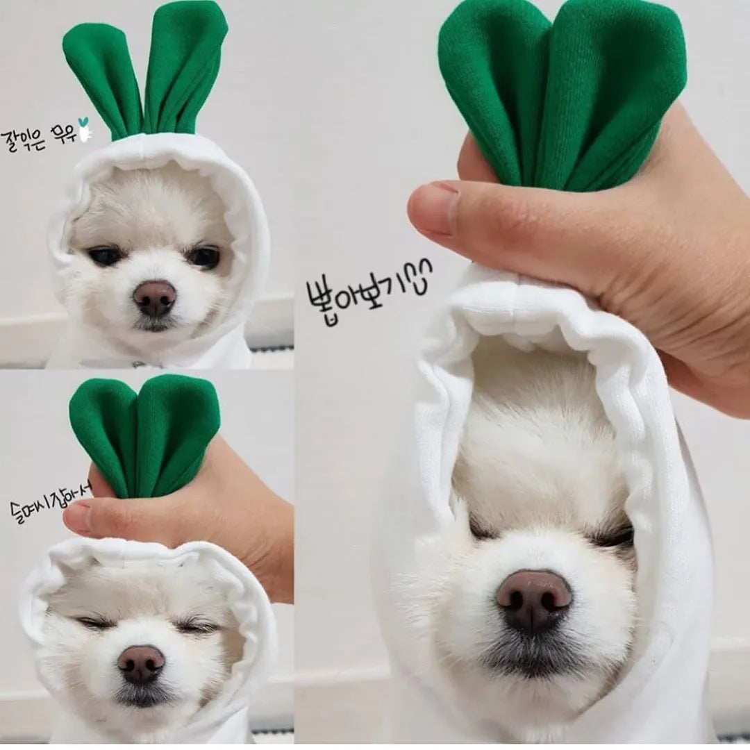 Cute fruit dog hoodie with drawstring apple design on a small Chihuahua, warm winter fleece coat in soft cloth fabric