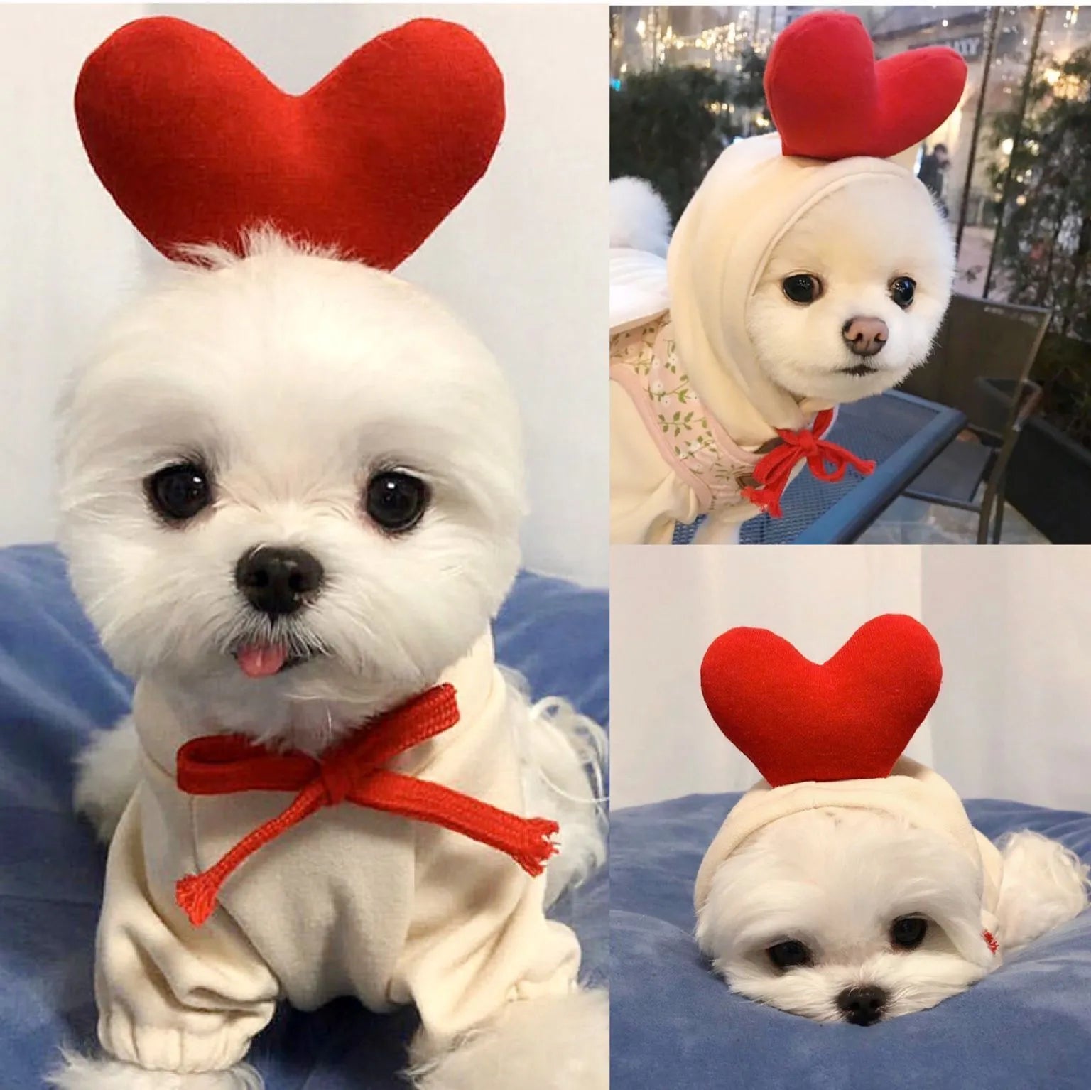Cute fruit dog hoodie with drawstring apple design on a small Chihuahua, warm winter fleece coat in soft cloth fabric