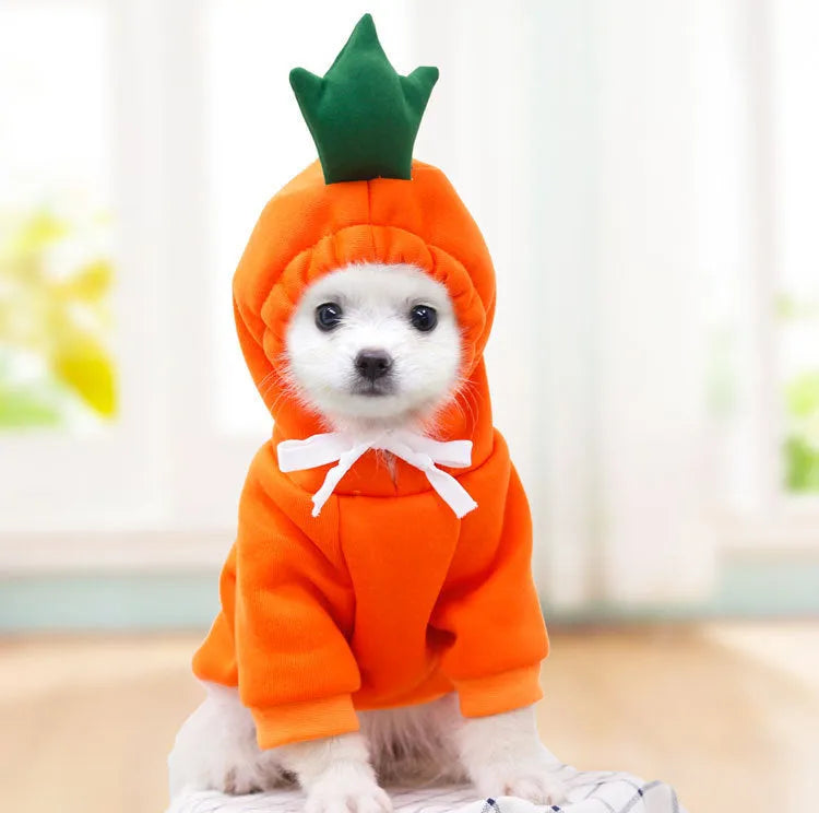 Cute fruit dog hoodie with drawstring apple design on a small Chihuahua, warm winter fleece coat in soft cloth fabric