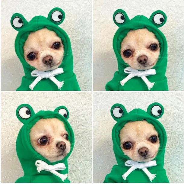 Cute fruit dog hoodie with drawstring apple design on a small Chihuahua, warm winter fleece coat in soft cloth fabric