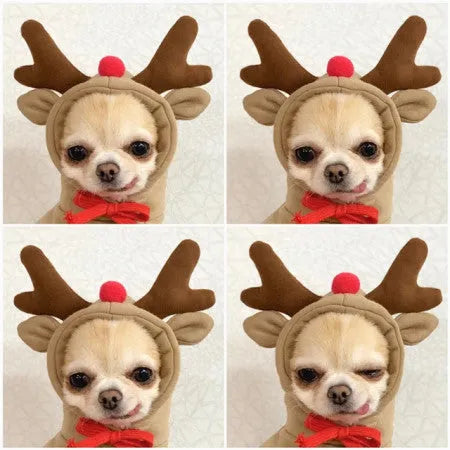 Cute fruit dog hoodie with drawstring apple design on a small Chihuahua, warm winter fleece coat in soft cloth fabric